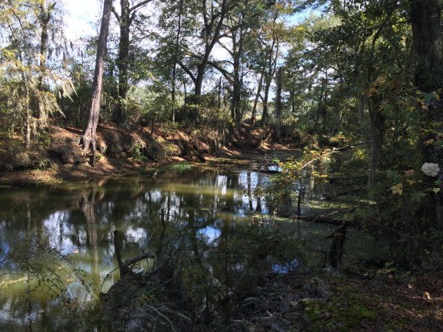 431 Us Hwy 431, Eufaula, AL 36027